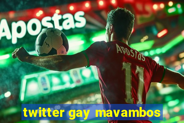 twitter gay mavambos